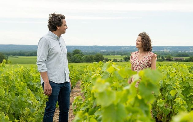 Cave de Théo // Experten für Wein und Spirituosen // Frankreich
