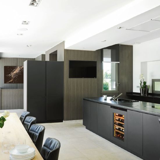 Reifeschrank, Eintemperatur, kleines Modell, einbaufähig und integrierbar - Inspiration