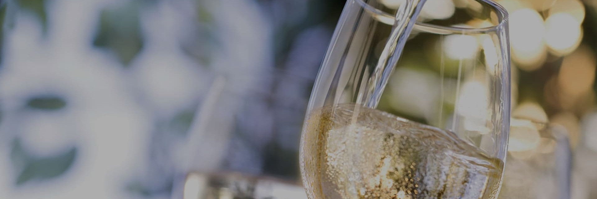 Lagertemperatur, Trinktemperatur für Rotweine, Weißweine, Roséweine oder Champagner. Erfahren Sie alles Wissenswerte über die sorgfältige Aufbewahrung von Weinen. Lagertemperatur, Trinktemperatur für Rotweine, Weißweine, Roséweine oder Champagner. Erfahren Sie alles Wissenswerte über die sorgfältige Aufbewahrung von Weinen.