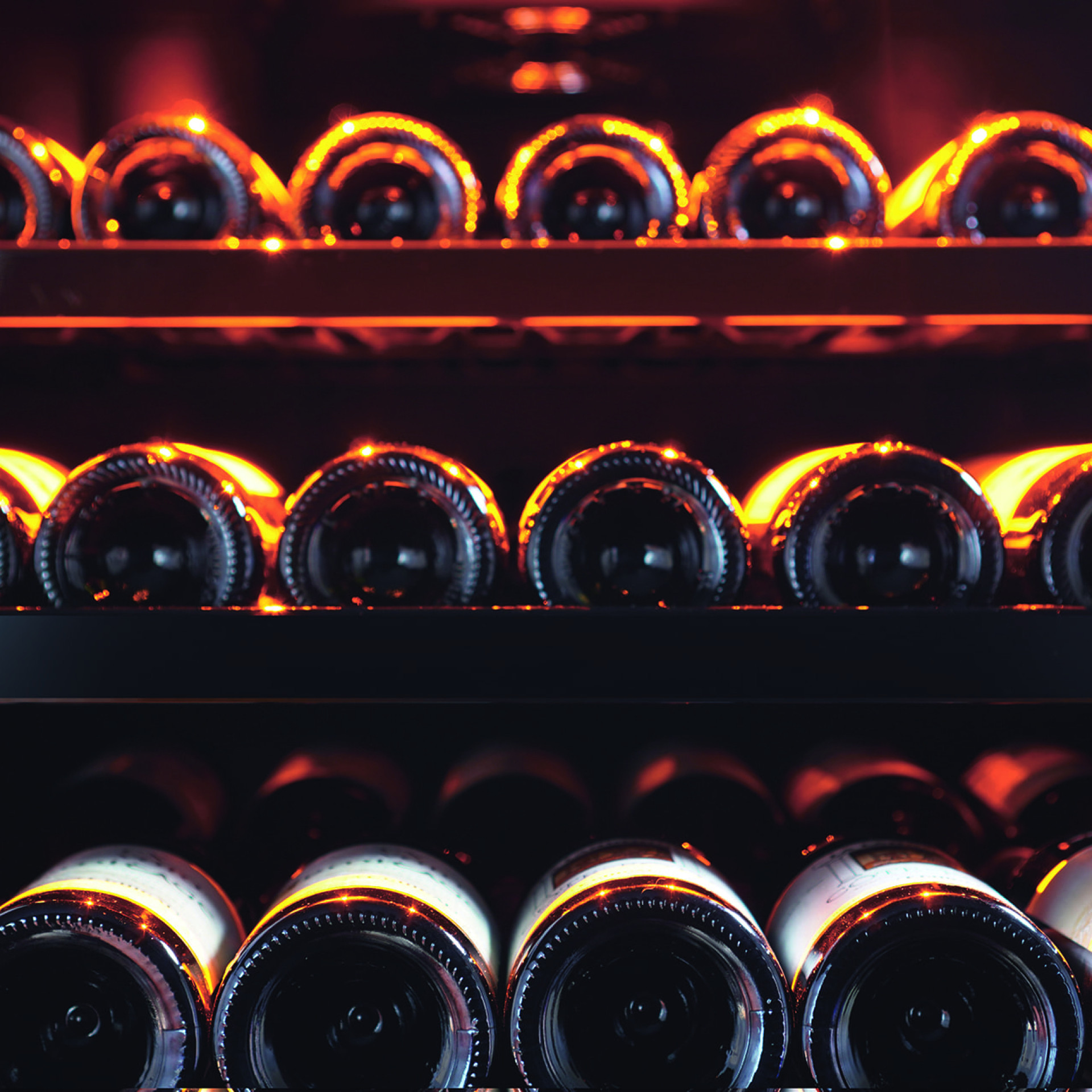 Lagerung im Weinschrank – Metallregale mit einzelnen Flaschenhaltern, glänzend schwarze Vorderseite. Lagerung im Weinschrank – Metallregale mit einzelnen Flaschenhaltern, glänzend schwarze Vorderseite.