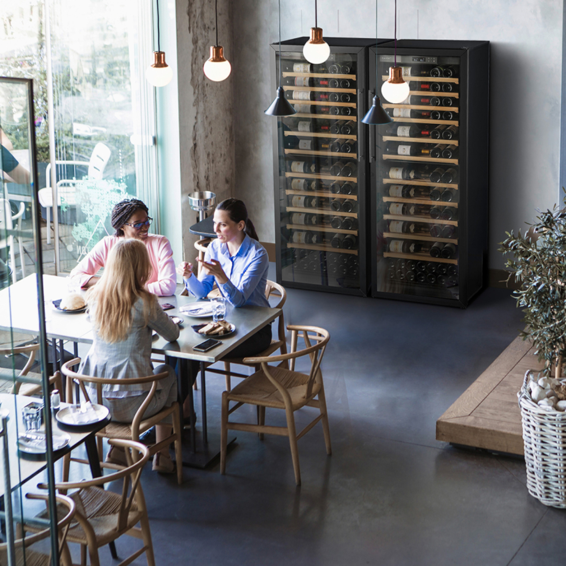 Weinkühlschrank mit doppelter Bedienung in einem Restaurantraum: 1 Temperaturschrank für die Lagerung von Rotweinen. Einzeltemperatur-Kellerset zum Kühlen von Weißweinen, Roséweinen und Champagnern.