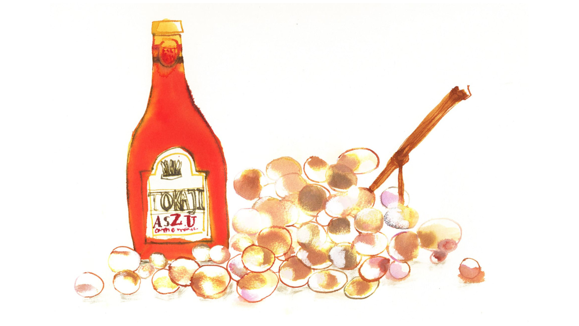 Die anderen oxidativen Weine - Illustration von Rebecca Bradley Die anderen oxidativen Weine - Illustration von Rebecca Bradley